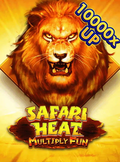 bo888 new game